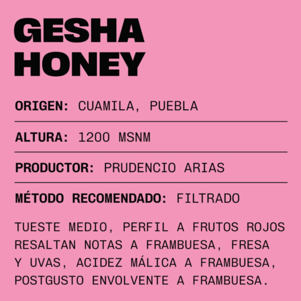 GESHA HONEY - Imagen 3