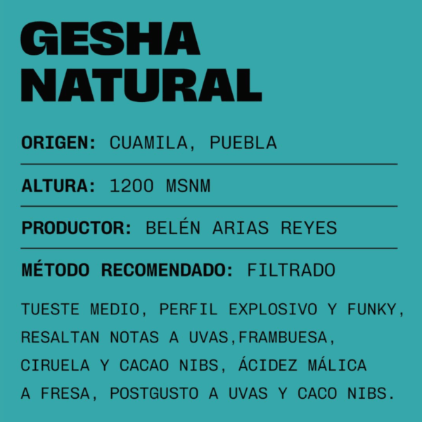 GESHA NATURAL - Imagen 3