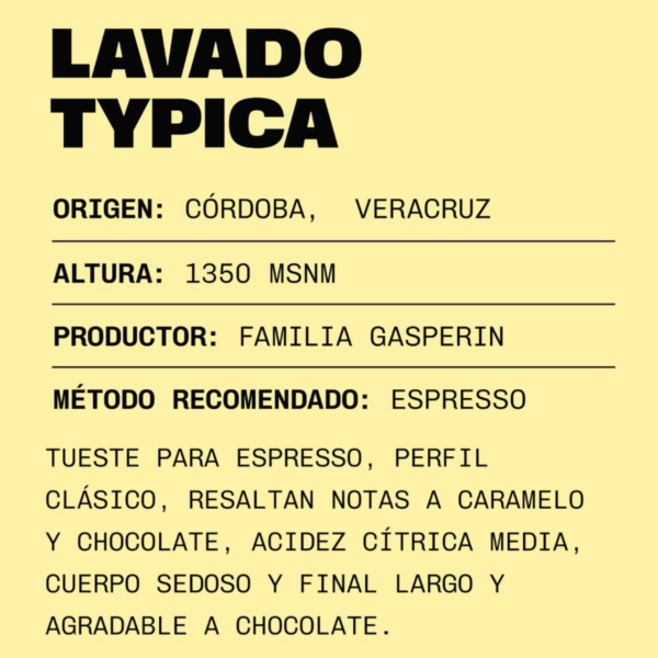 LAVADO TYPICA - Imagen 3